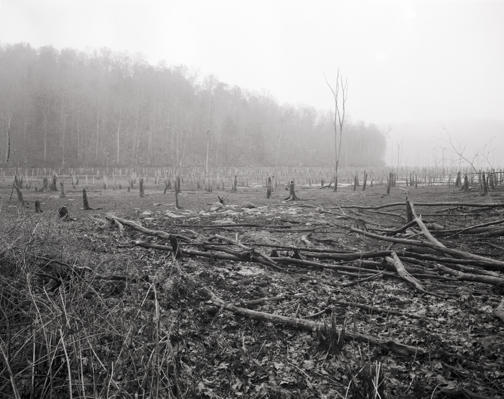 Drained Reservoir