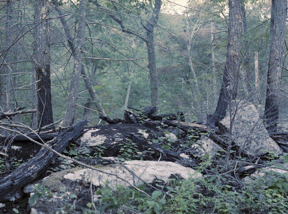 After the Fire